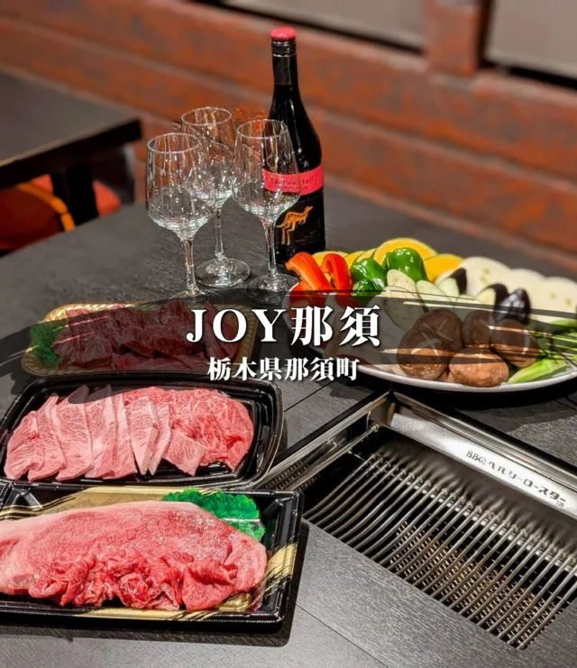 ノンダクト焼肉無煙ロースター【業務用/家庭用】BBQヘルシーロースター